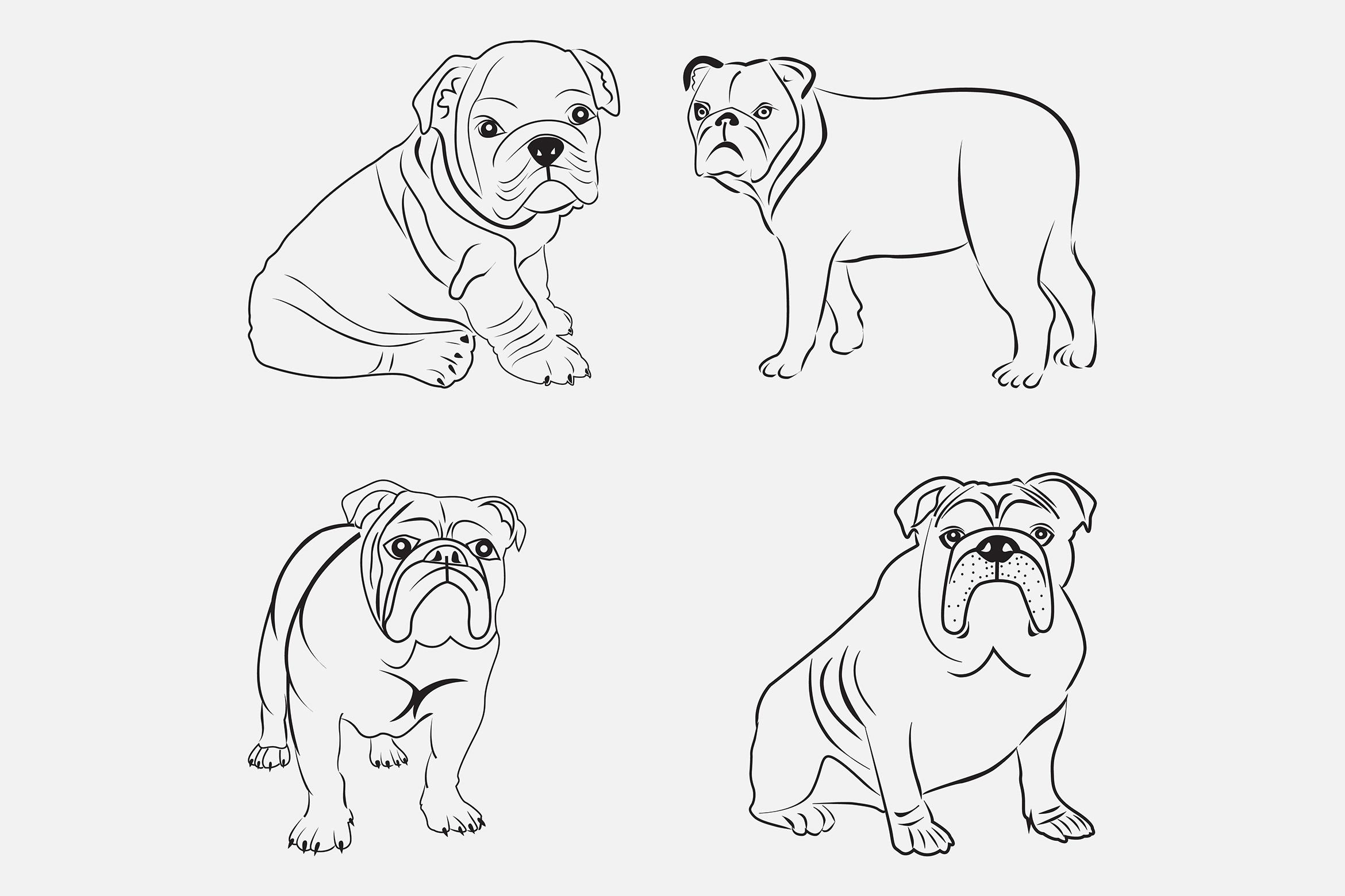 Bulldog Lineart