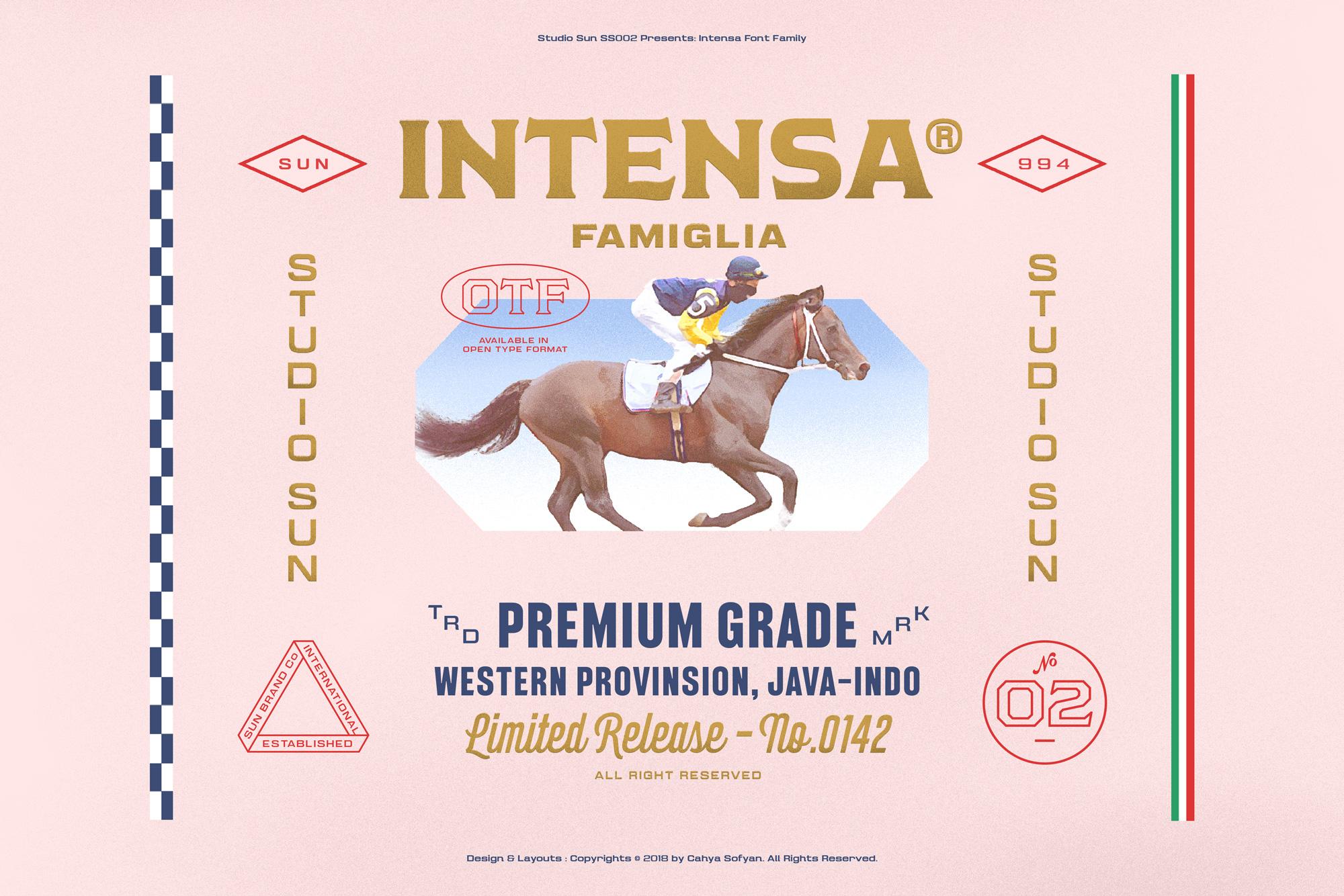 Intensa Family Font