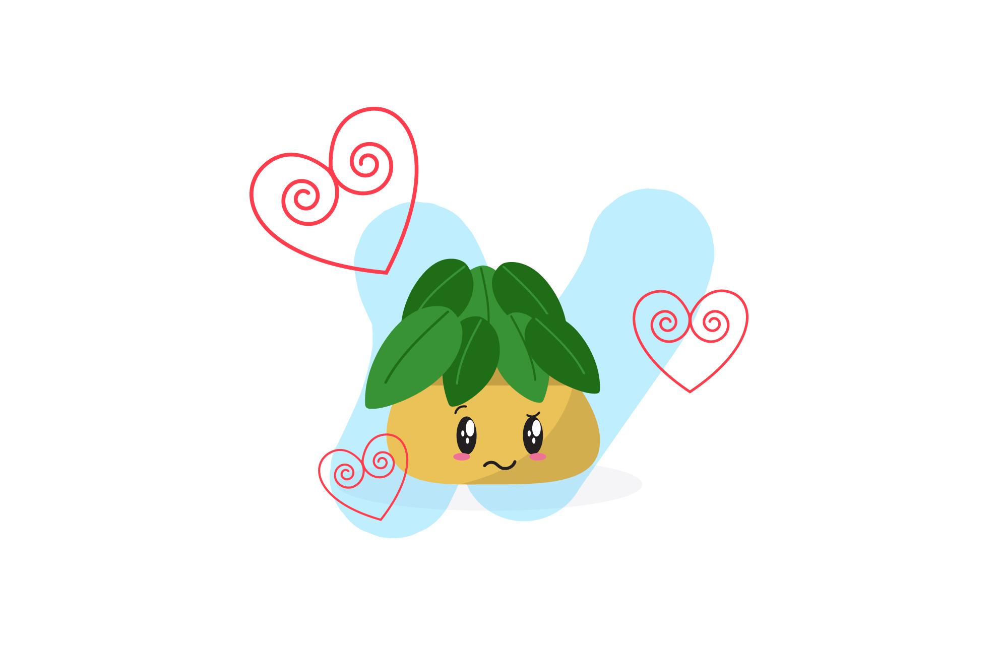 Valentine Plant Romantic Gift Floral