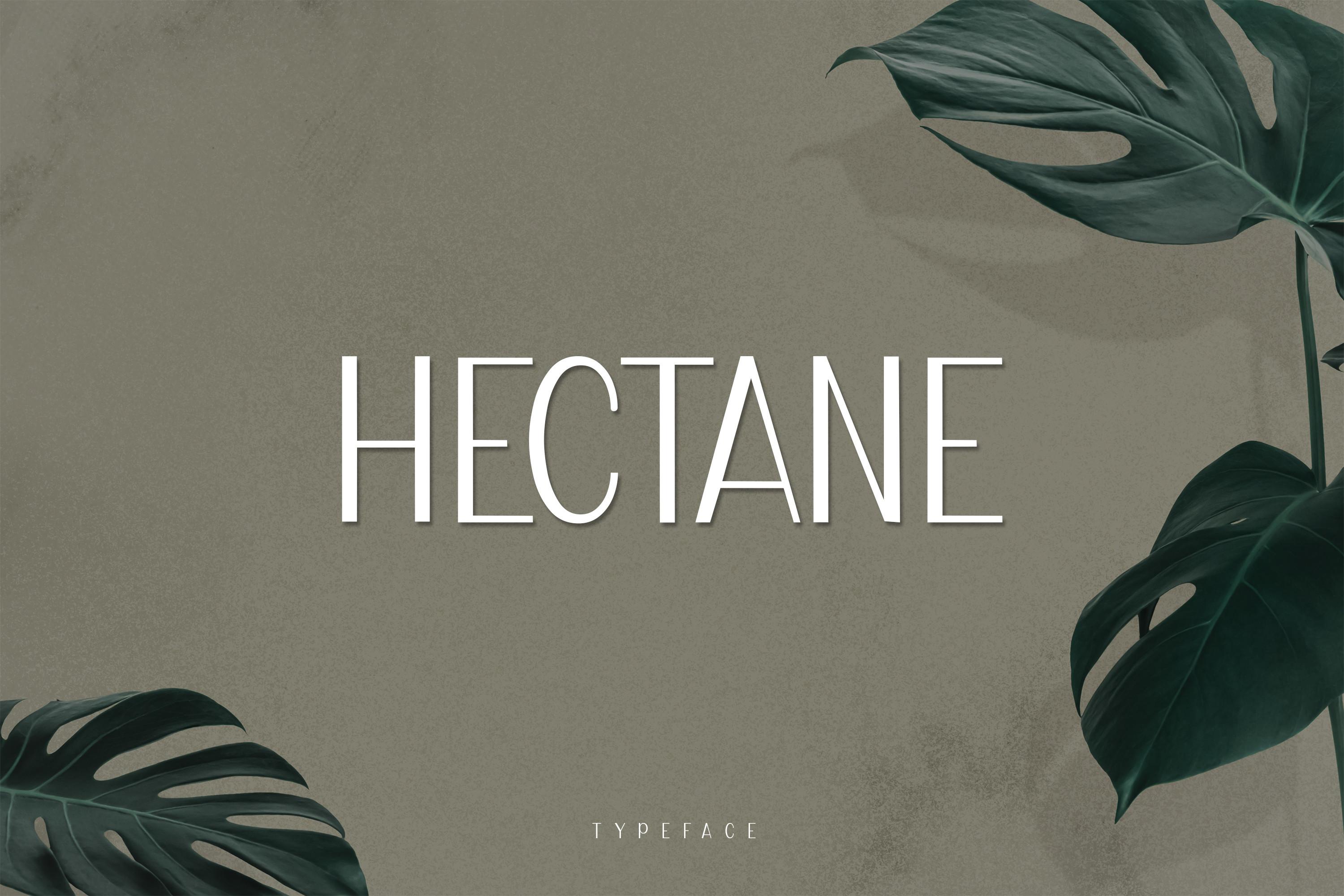 Hectane Font