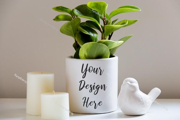 Plant Vase and Candle Mockup