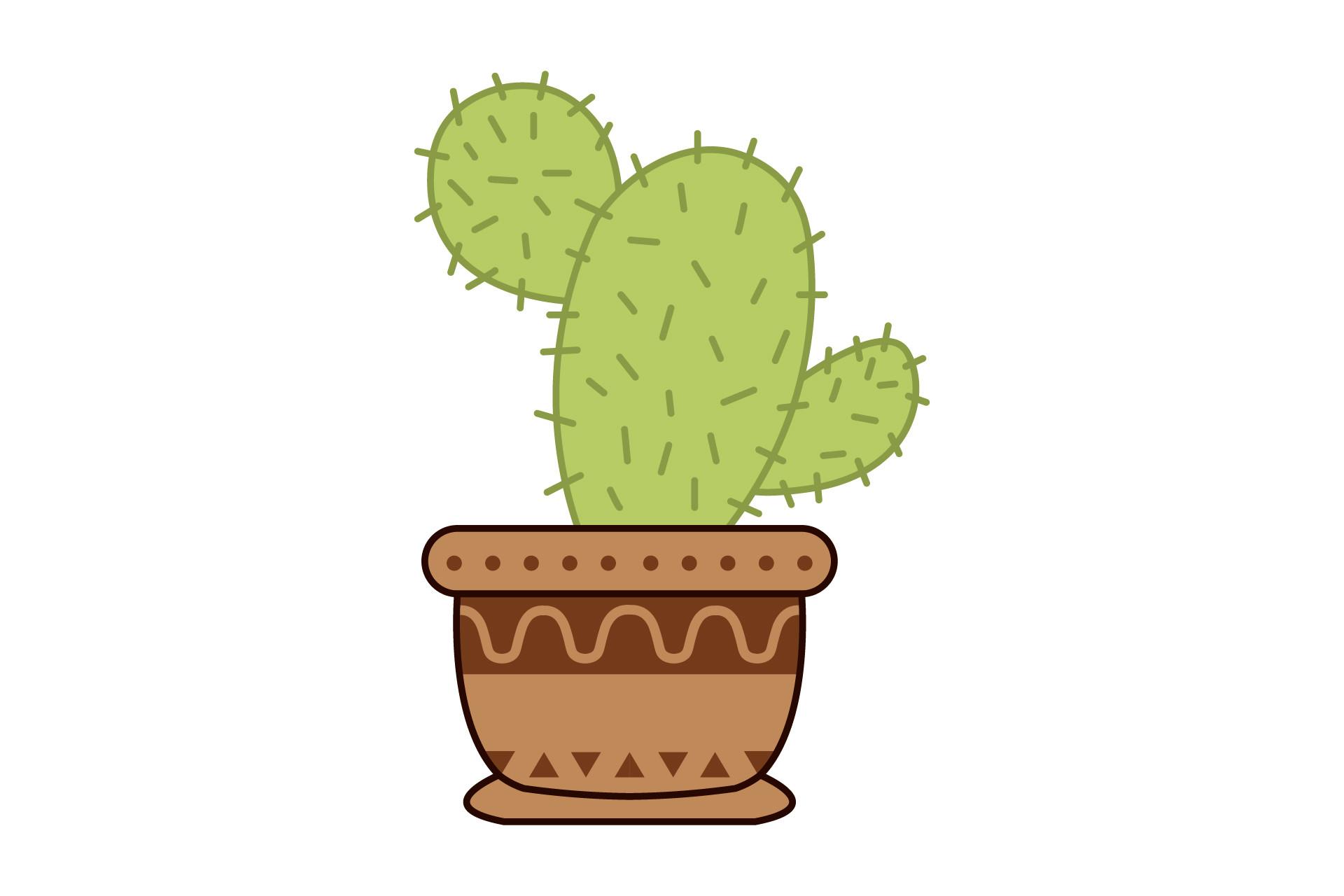 Plant ?