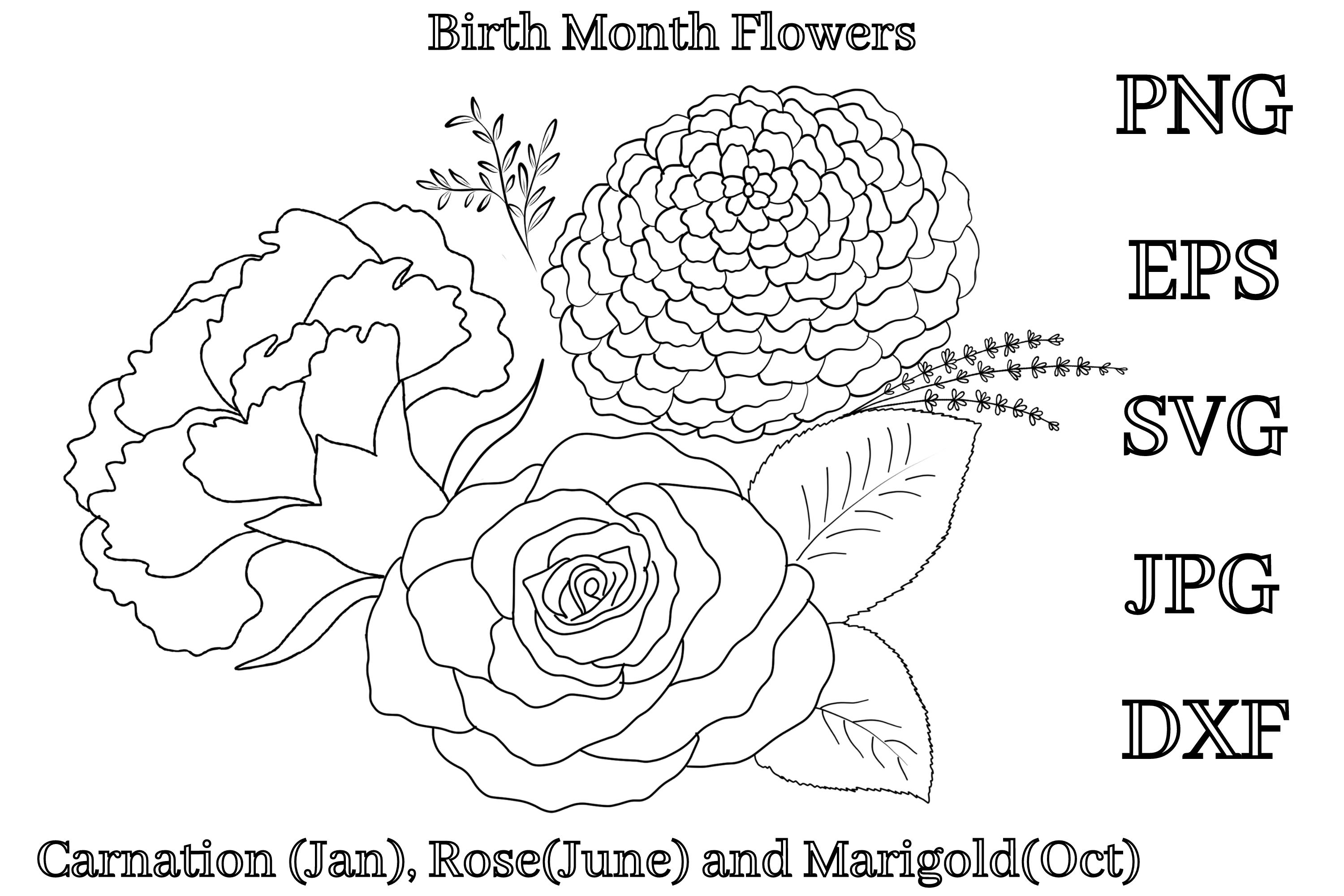 Birth Month Flowers, Rose, Carnation Etc