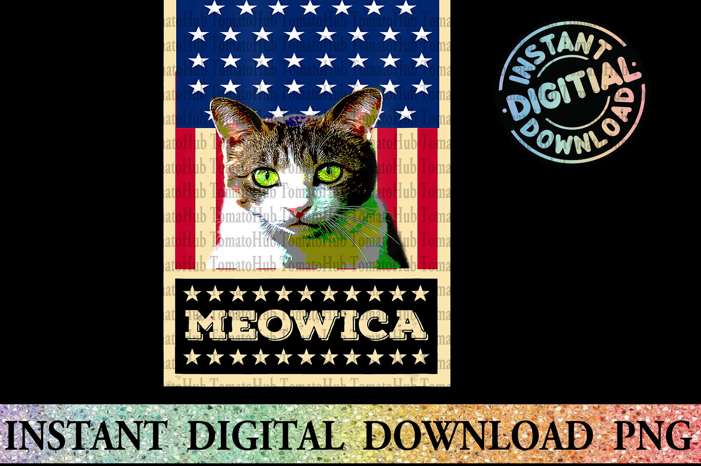 Cat Lover Shirt - USA Flag PNG