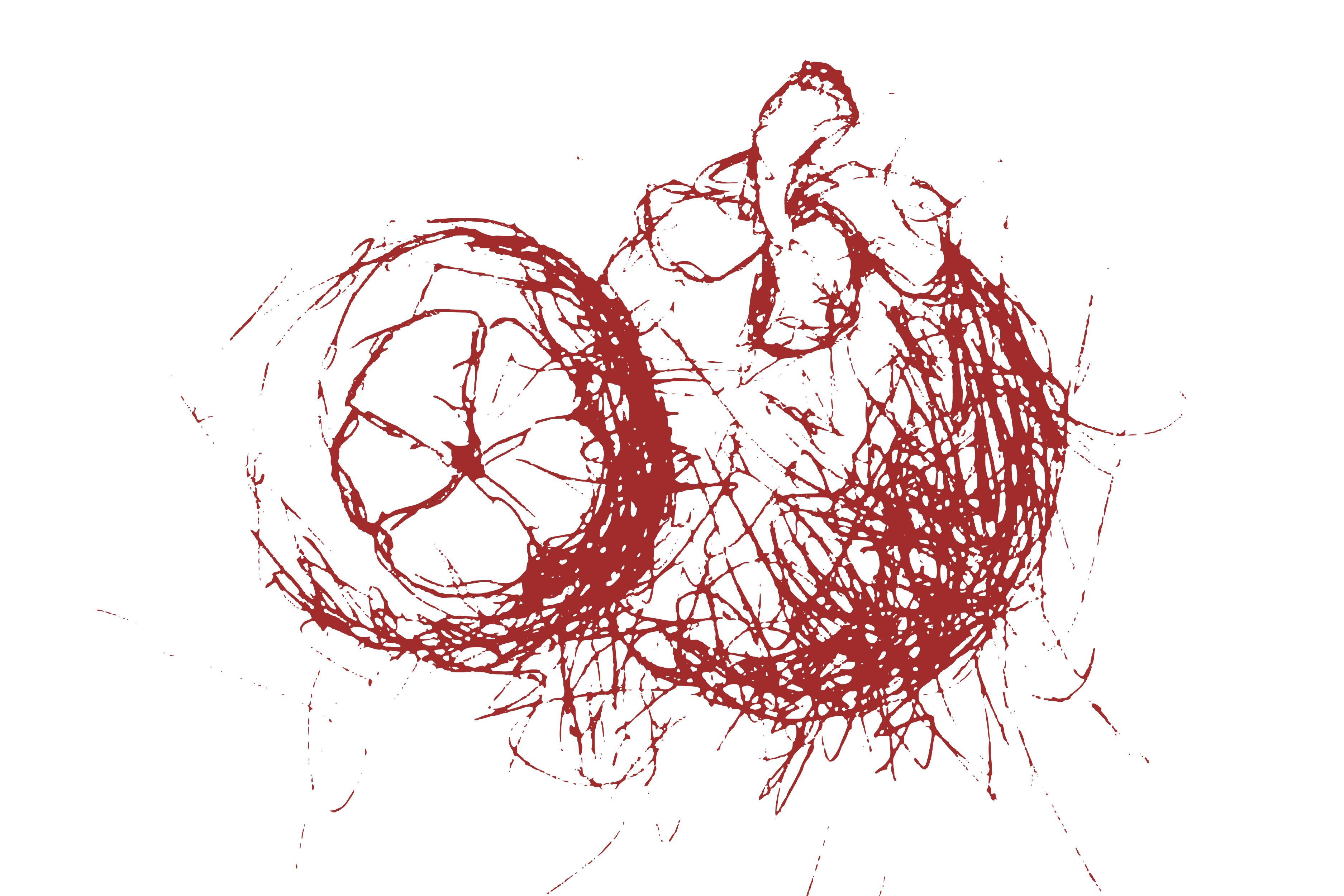 Mangosteen Scribble Art