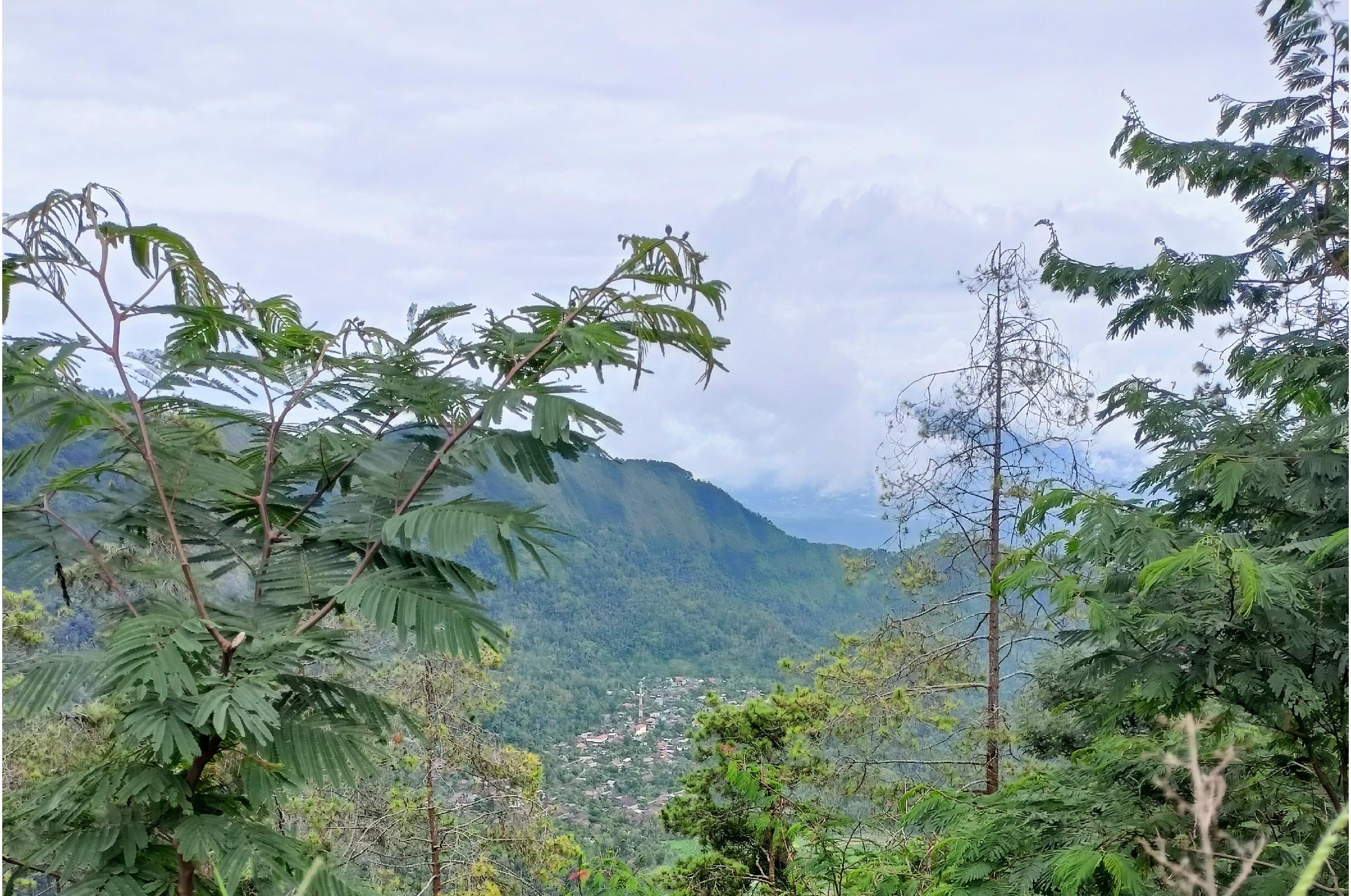 Landscape Photo