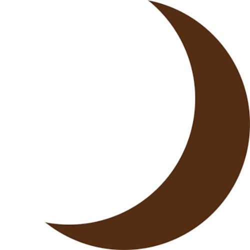 The Lunar Digital