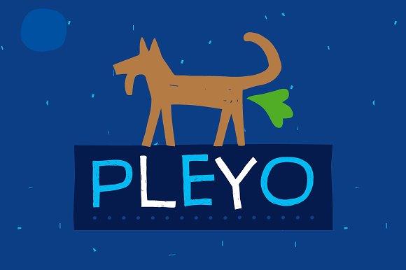 Pleyo Font