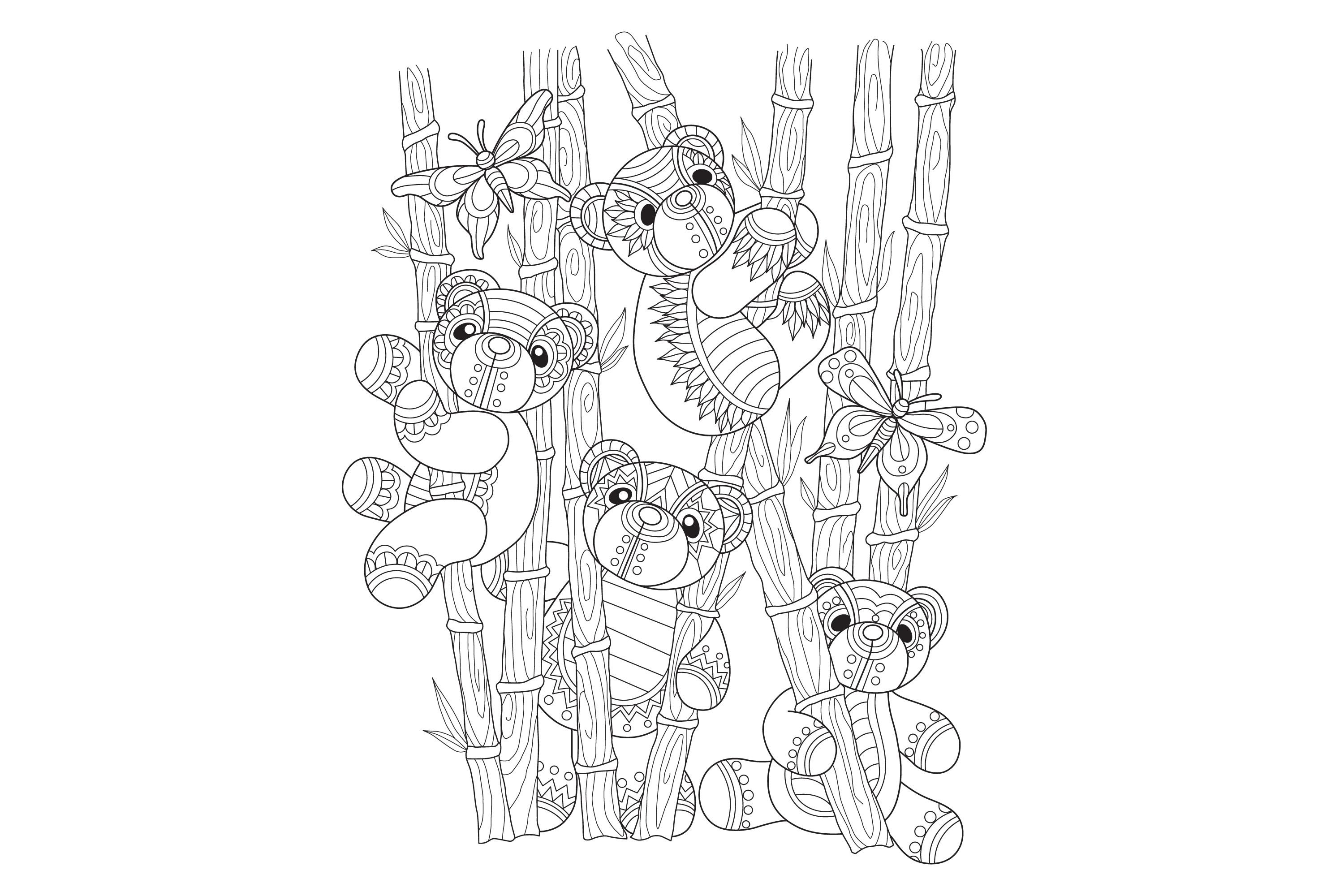 Animal Coloring Page & Book Adults