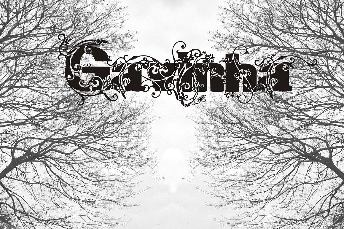 Gavinha Font