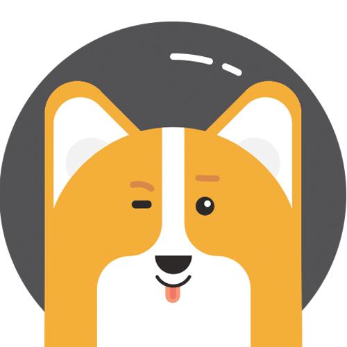 Corgi Astronaut