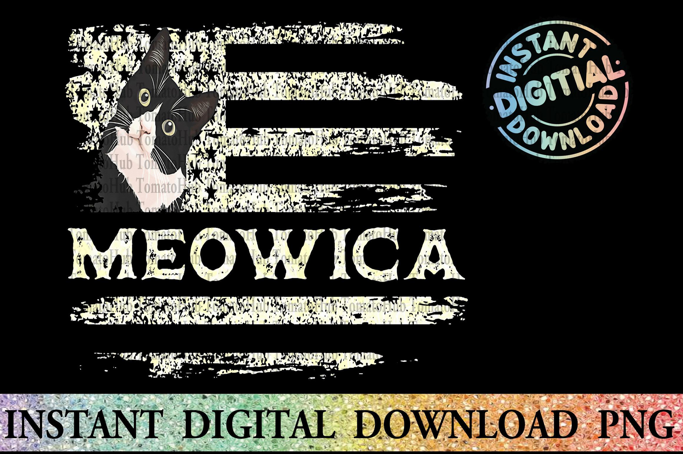 American Flag July 4th Cat Patriotic PNG