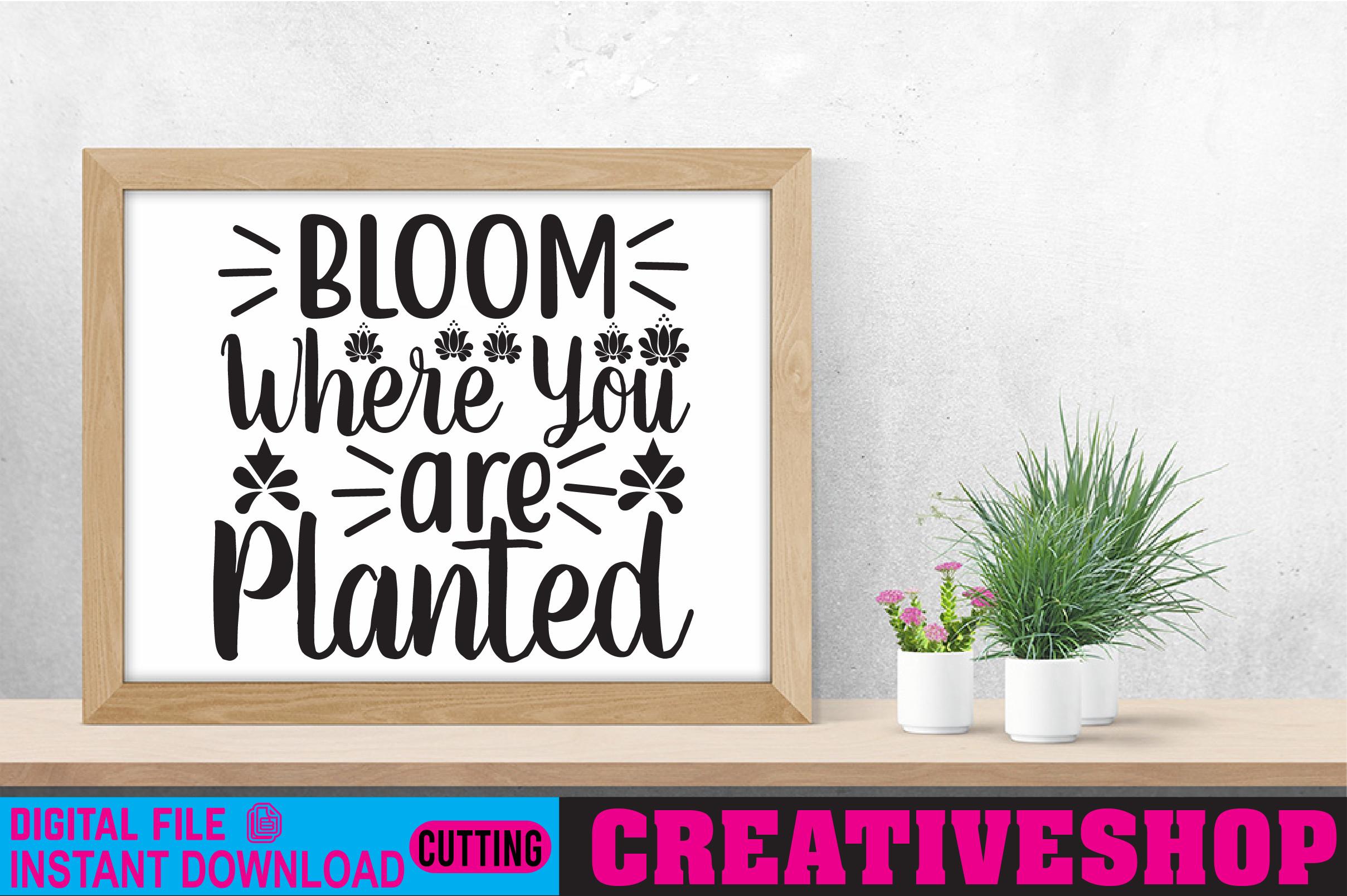 Bloom Where You Are Planted