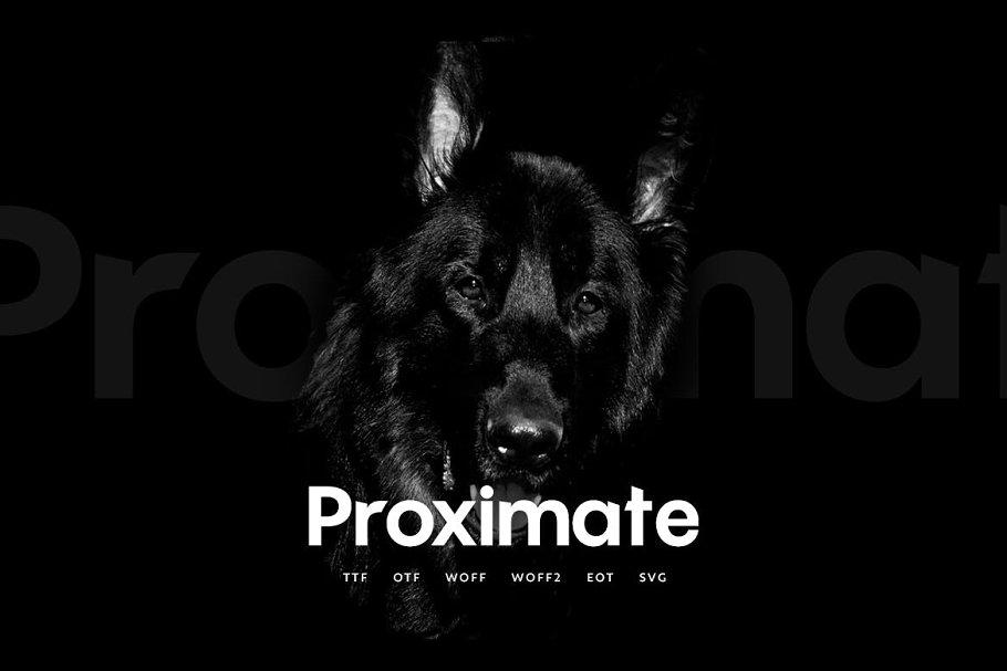 Proximate Font