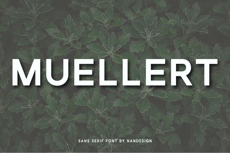 Muellert Font