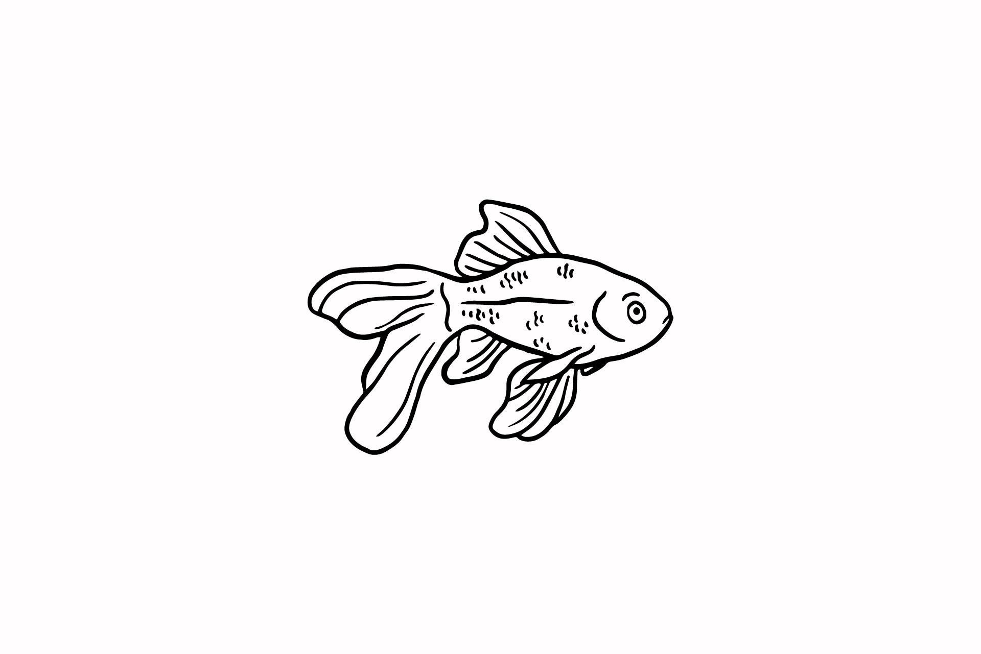 Fish Illustration