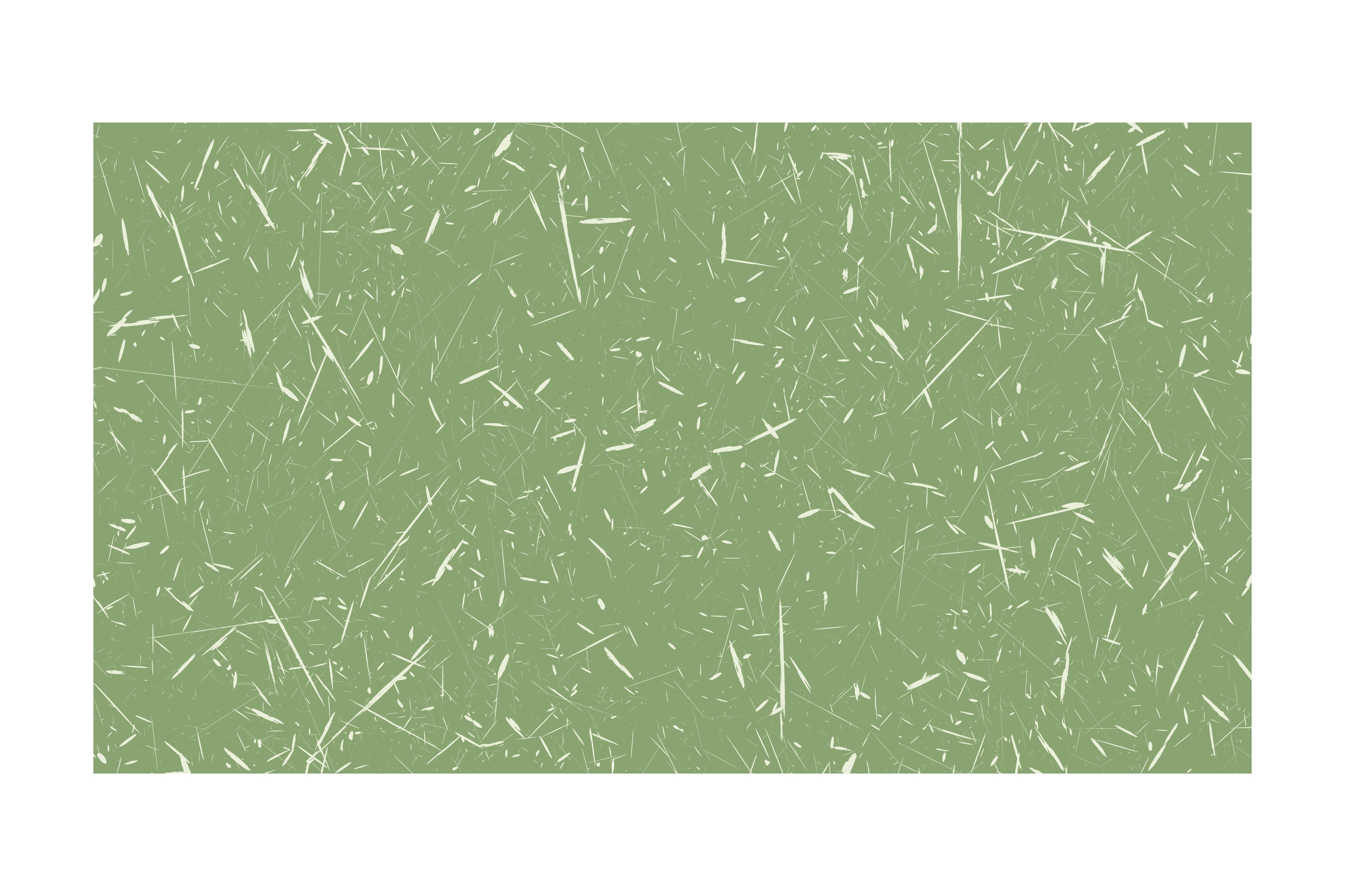 Small Dry Leaves and Twigs of Plants on