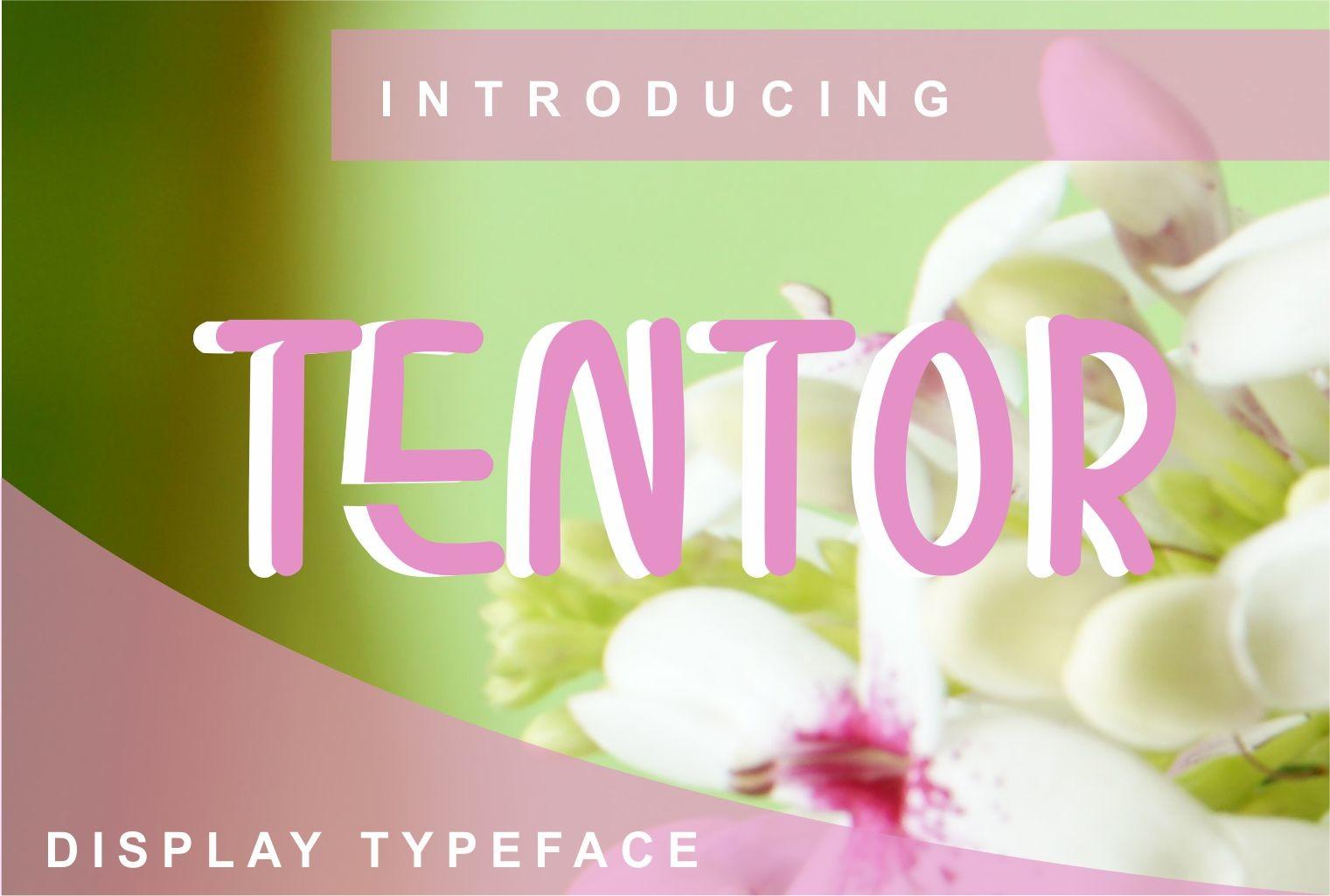 Tentor Font
