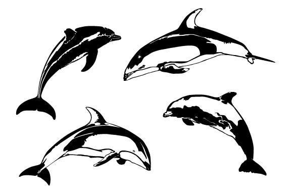Dolphin SVG