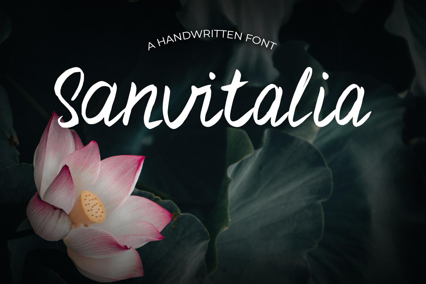 Sanvitalia Font