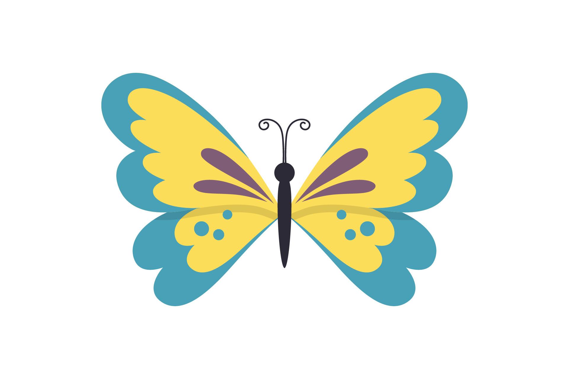 Butterfly Beauty