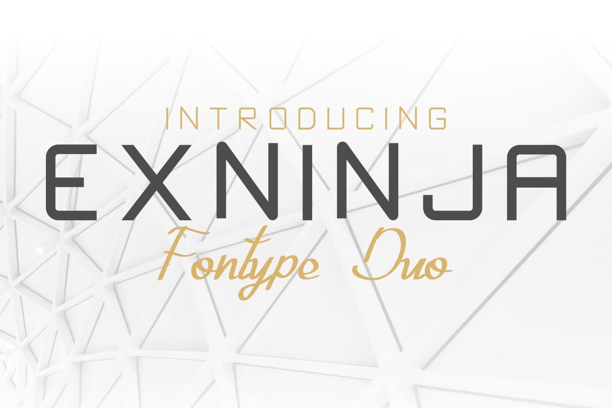 Exninja Font