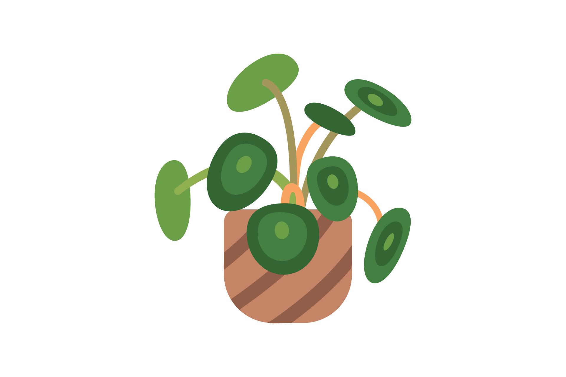 Plant Leaf Jungle