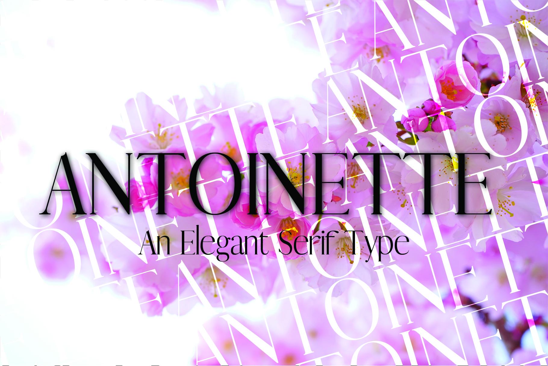 Antoinette Font