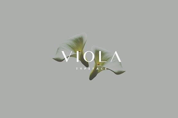 Viola Font