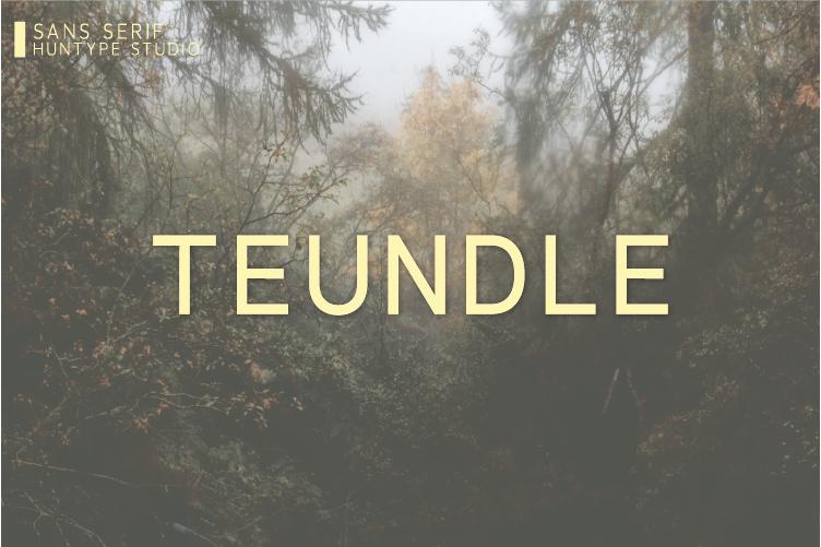 Teundle Font