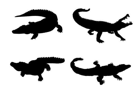 Crocodile SVG