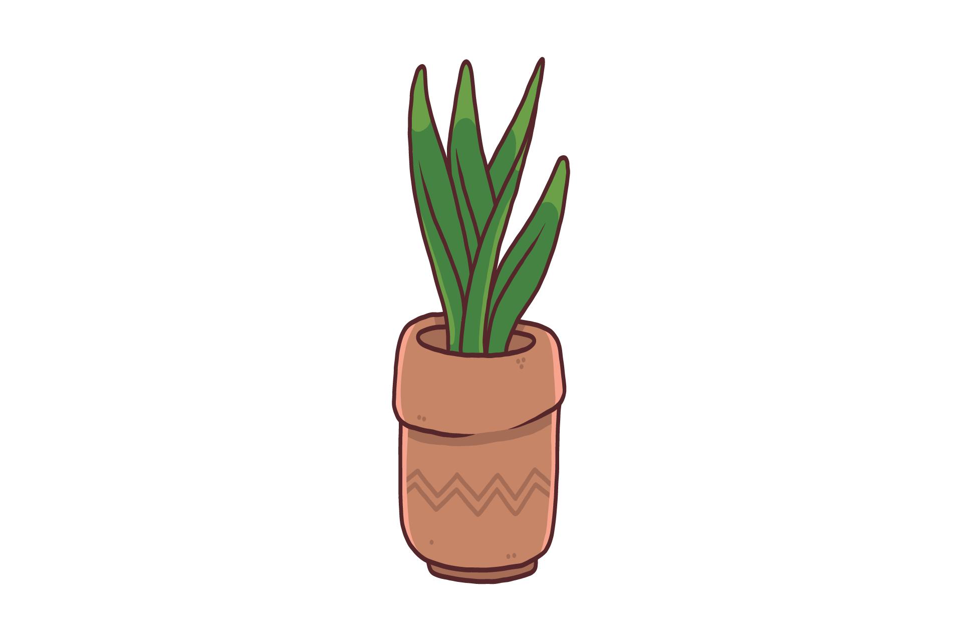 Plant Leaf Jungle