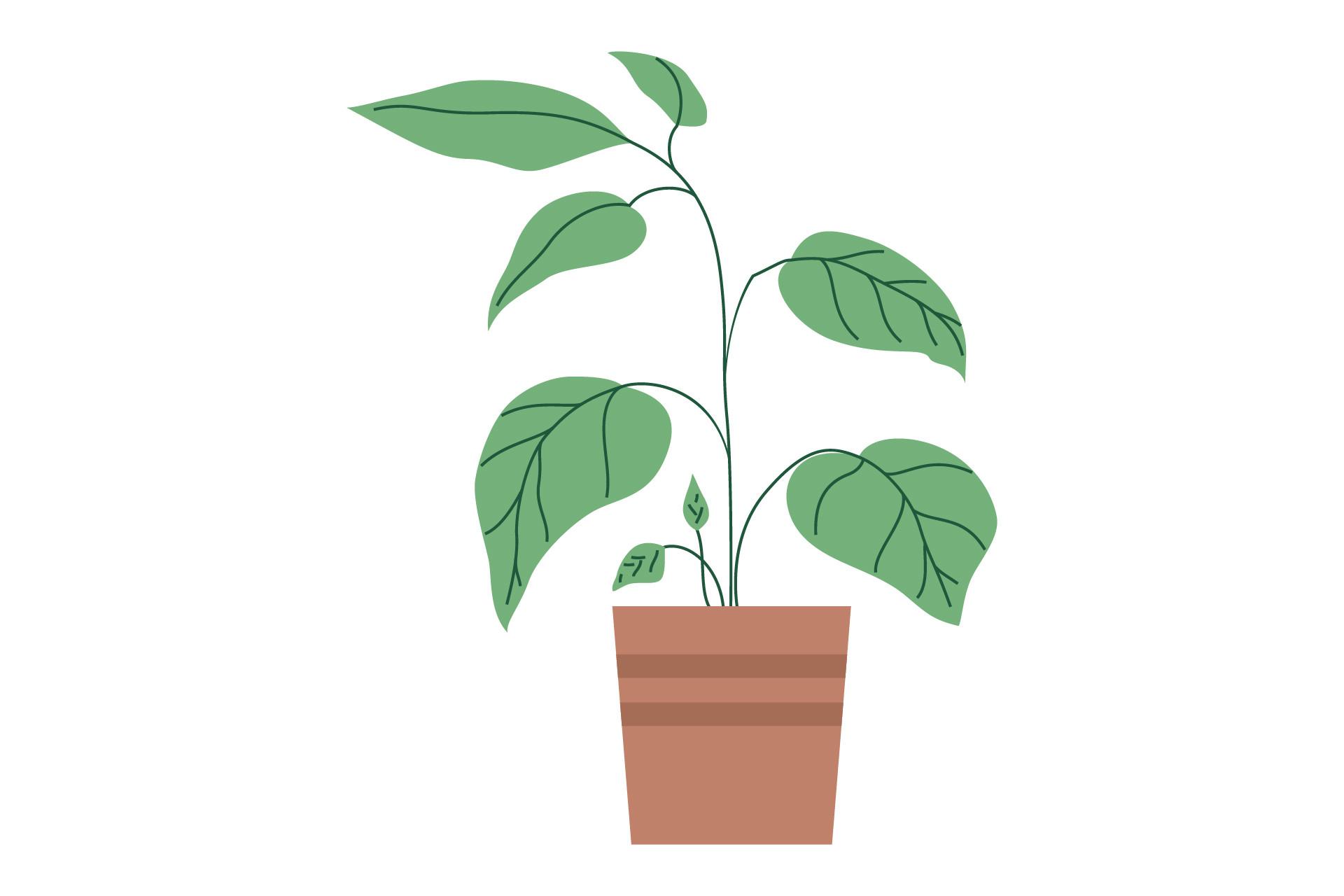Plant Design Vektor