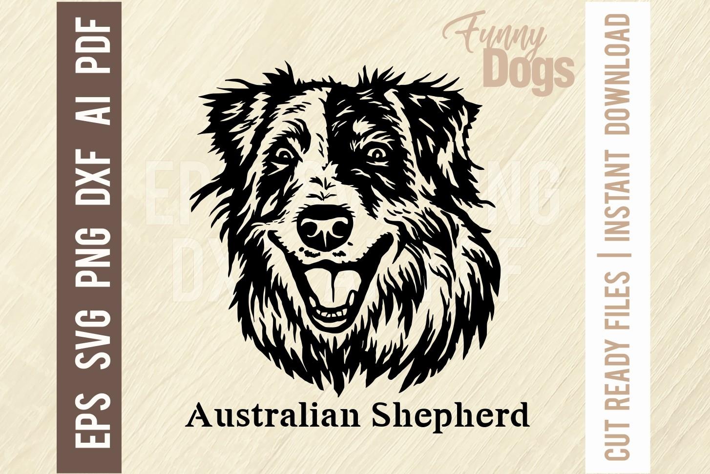 Australian Shepherd - Funny Dog