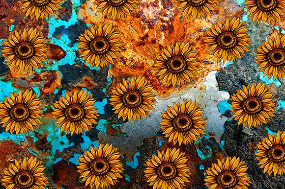 Wester Sunflower Background