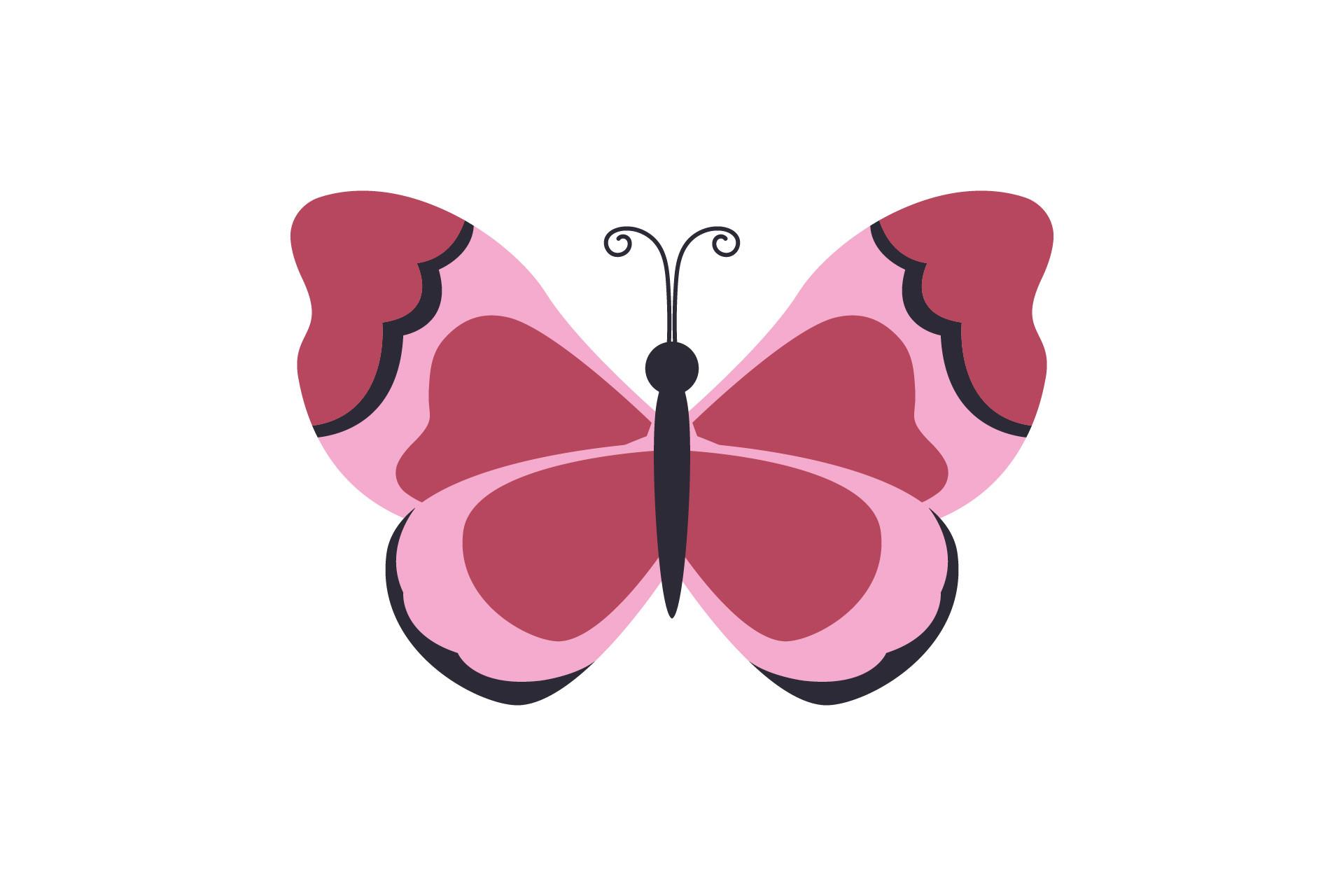 Beauty Butterfly Illustration