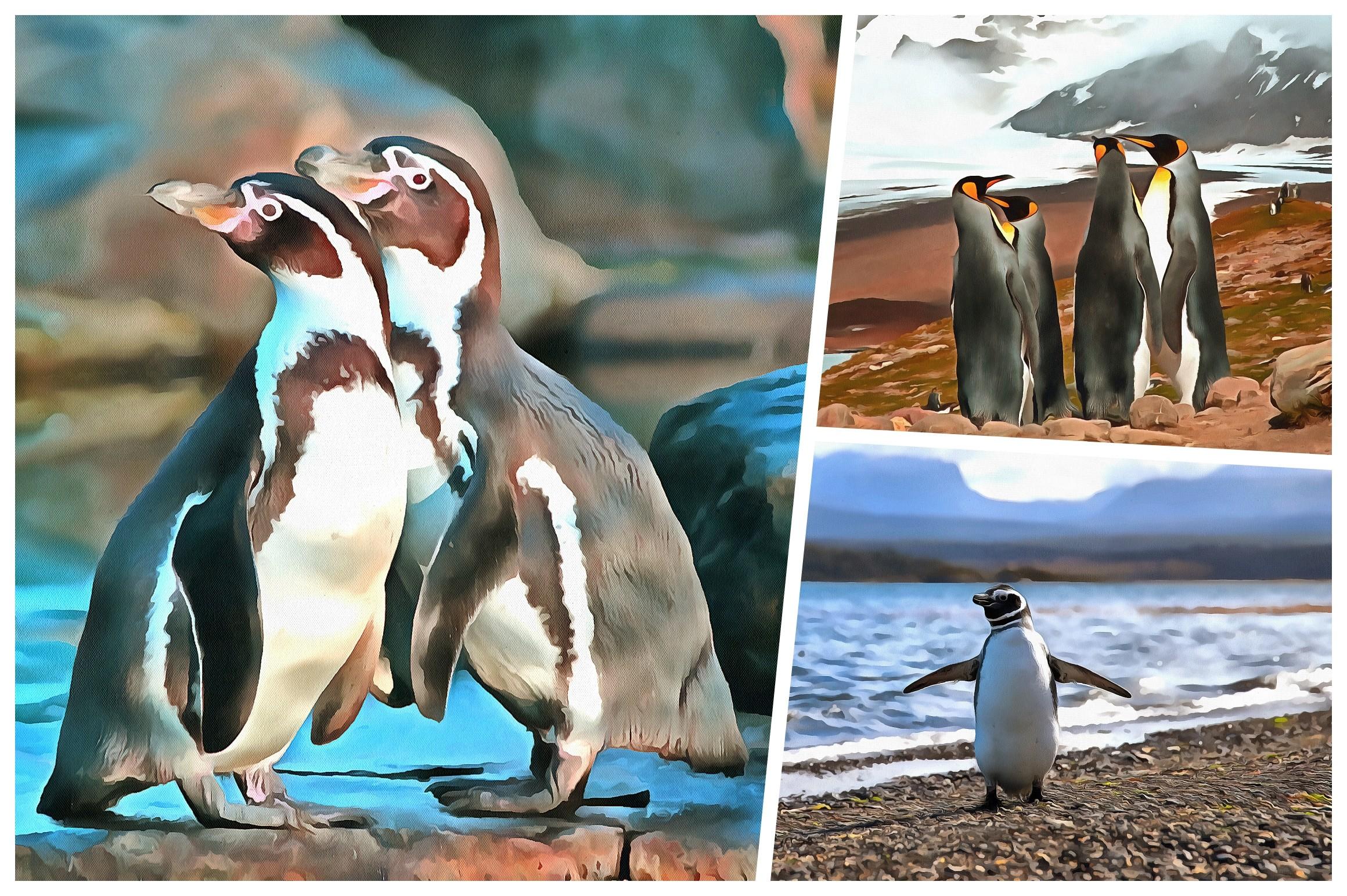 Penguin Watercolor Background