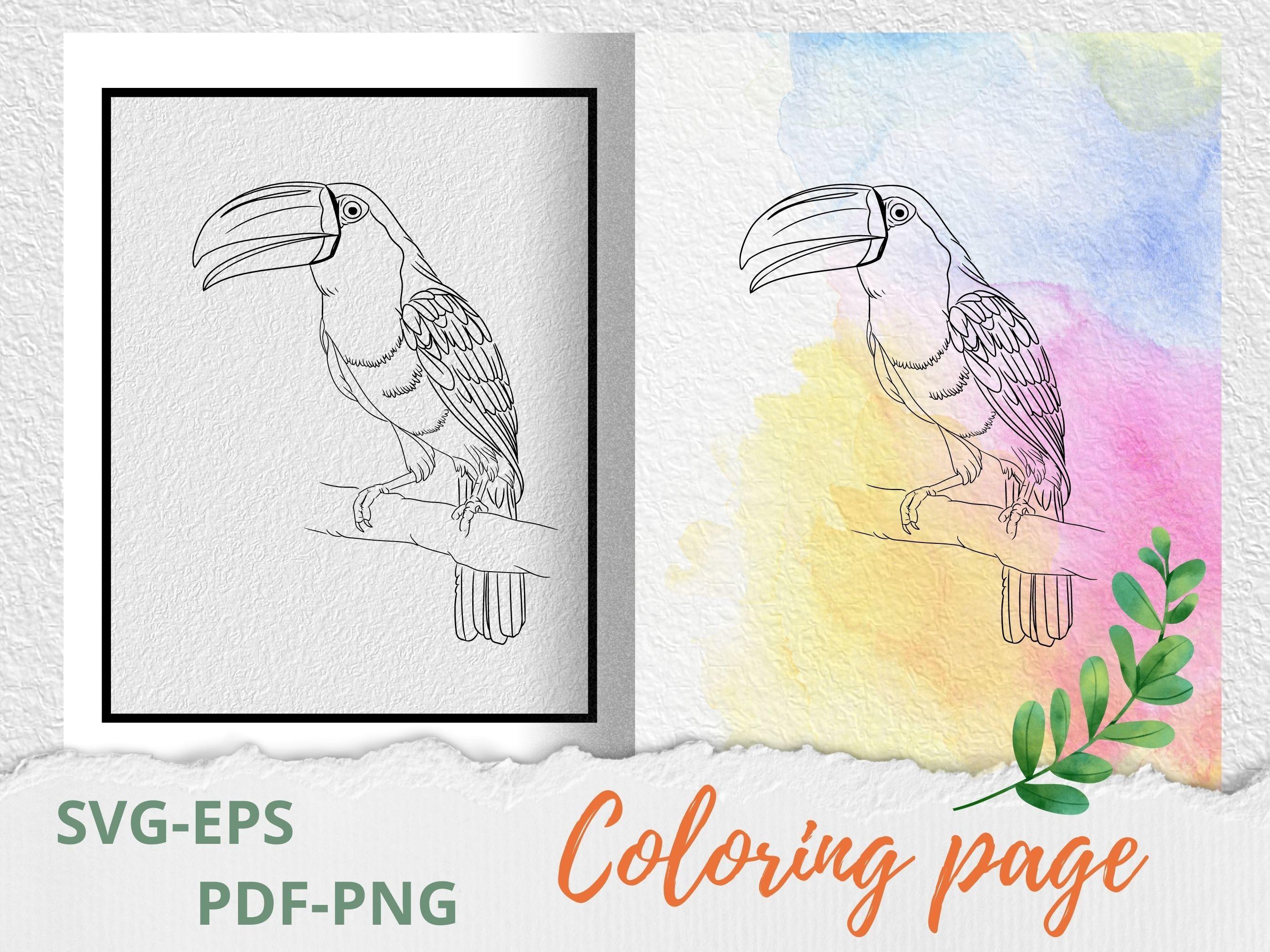 Bird Coloring Page SVG-Tattoo Stencil