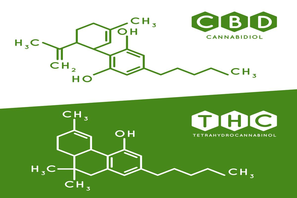 Thc and Cbd Formula