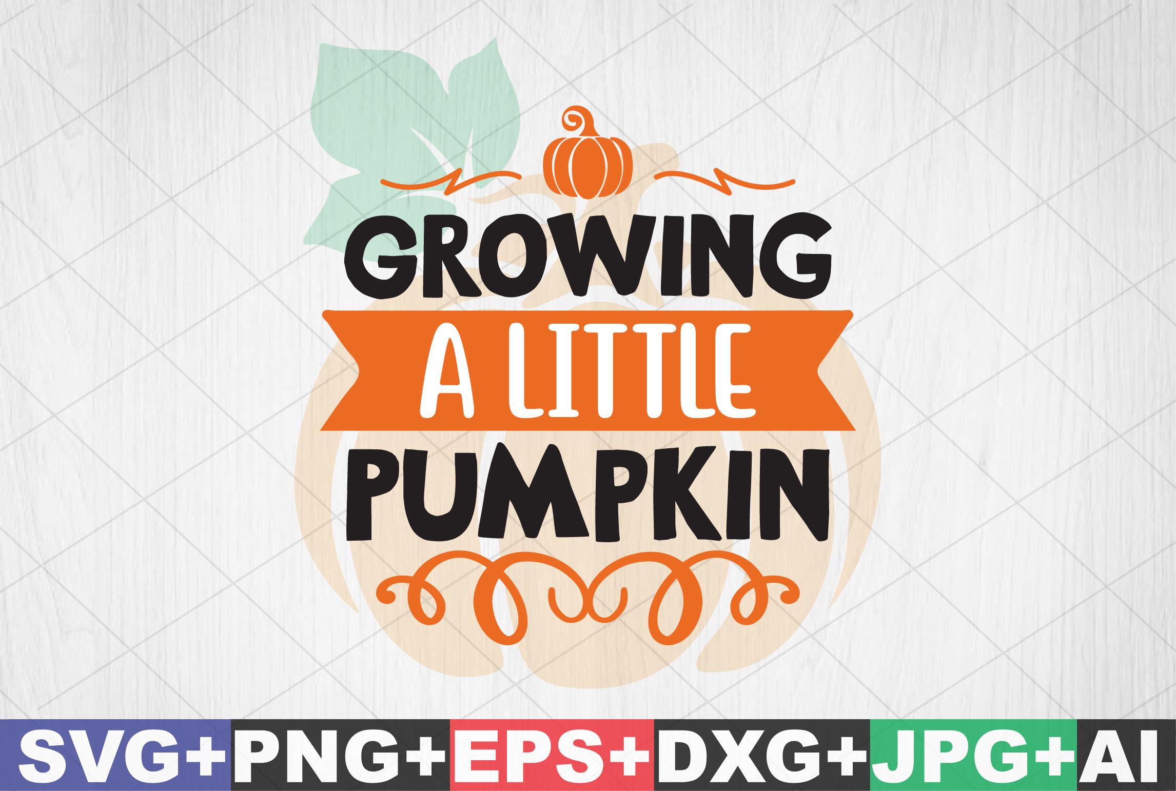 Growing a Little Pumpkin