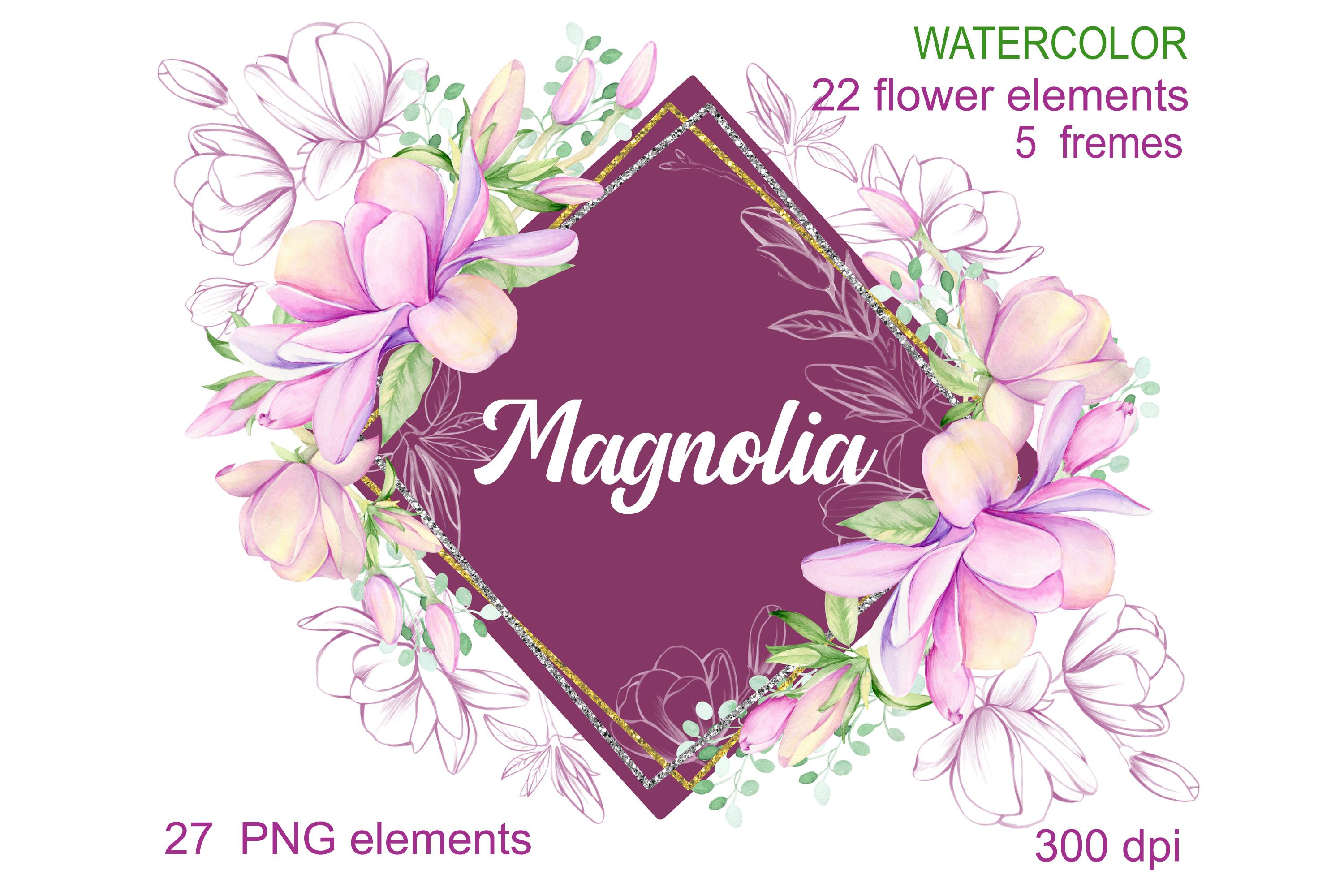 Watercolor Magnolia, Magnolia Clipart, F