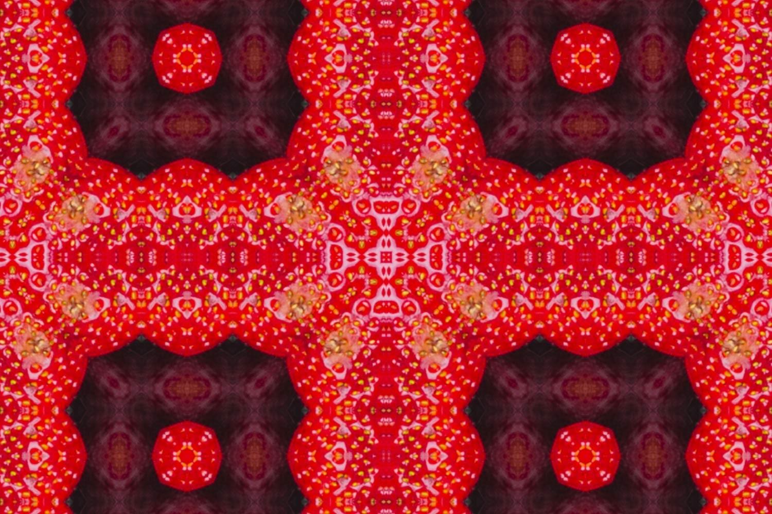 Fractal Batik