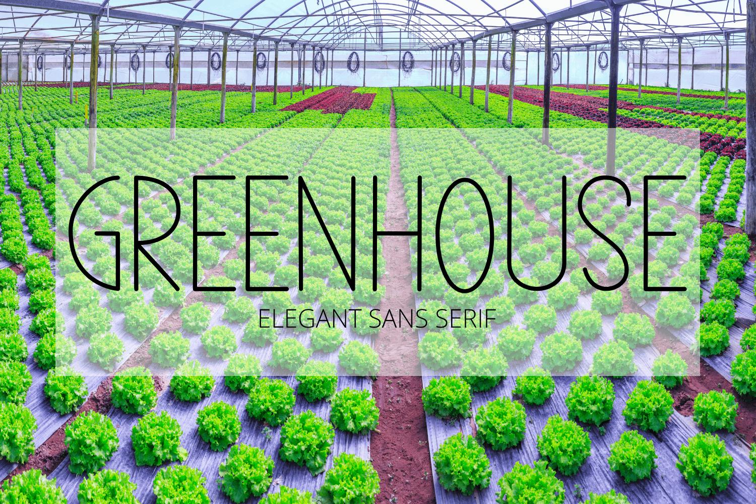Greenhouse Font