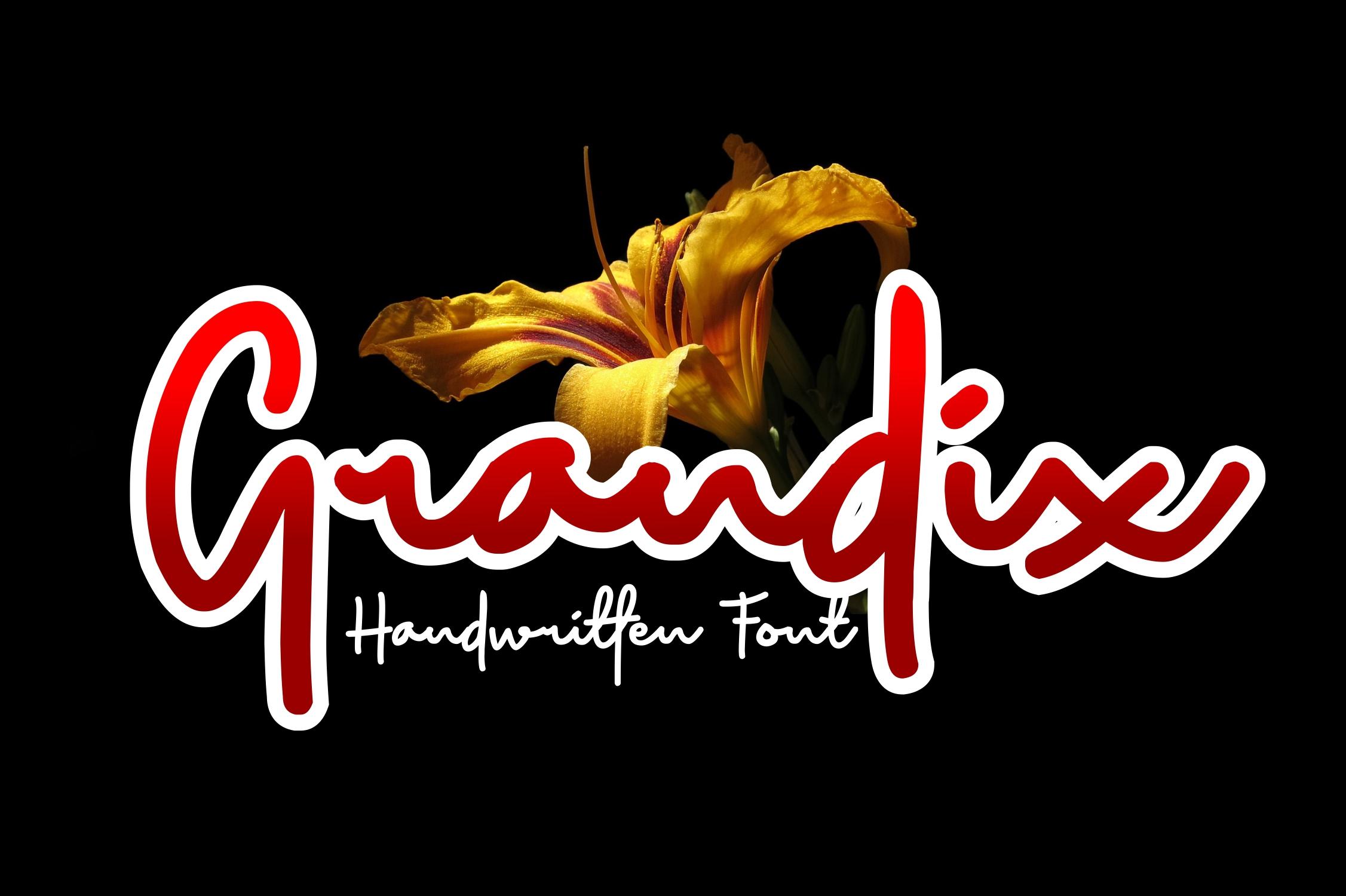 Grandix Font