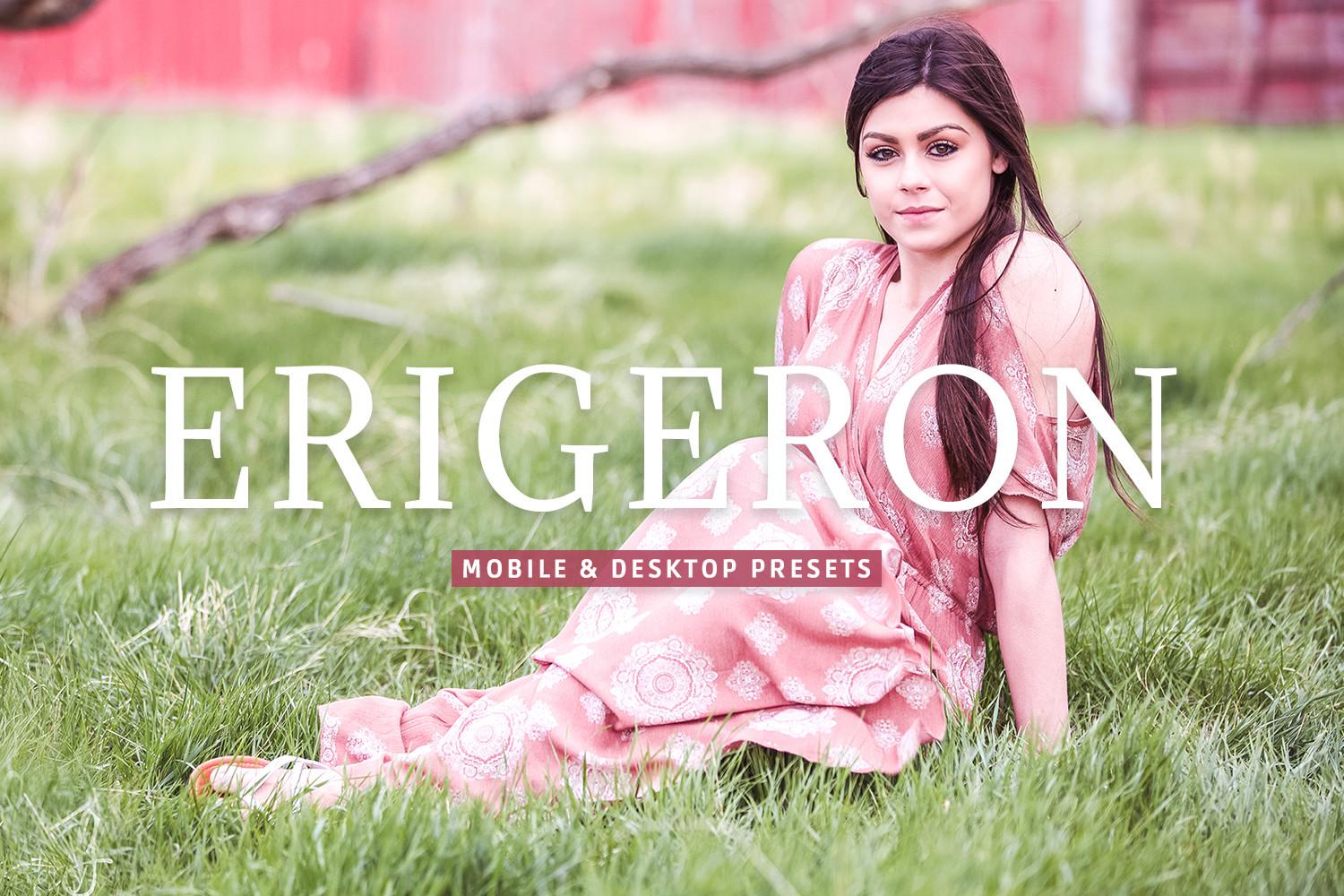 Erigeron Pro Lightroom Presets