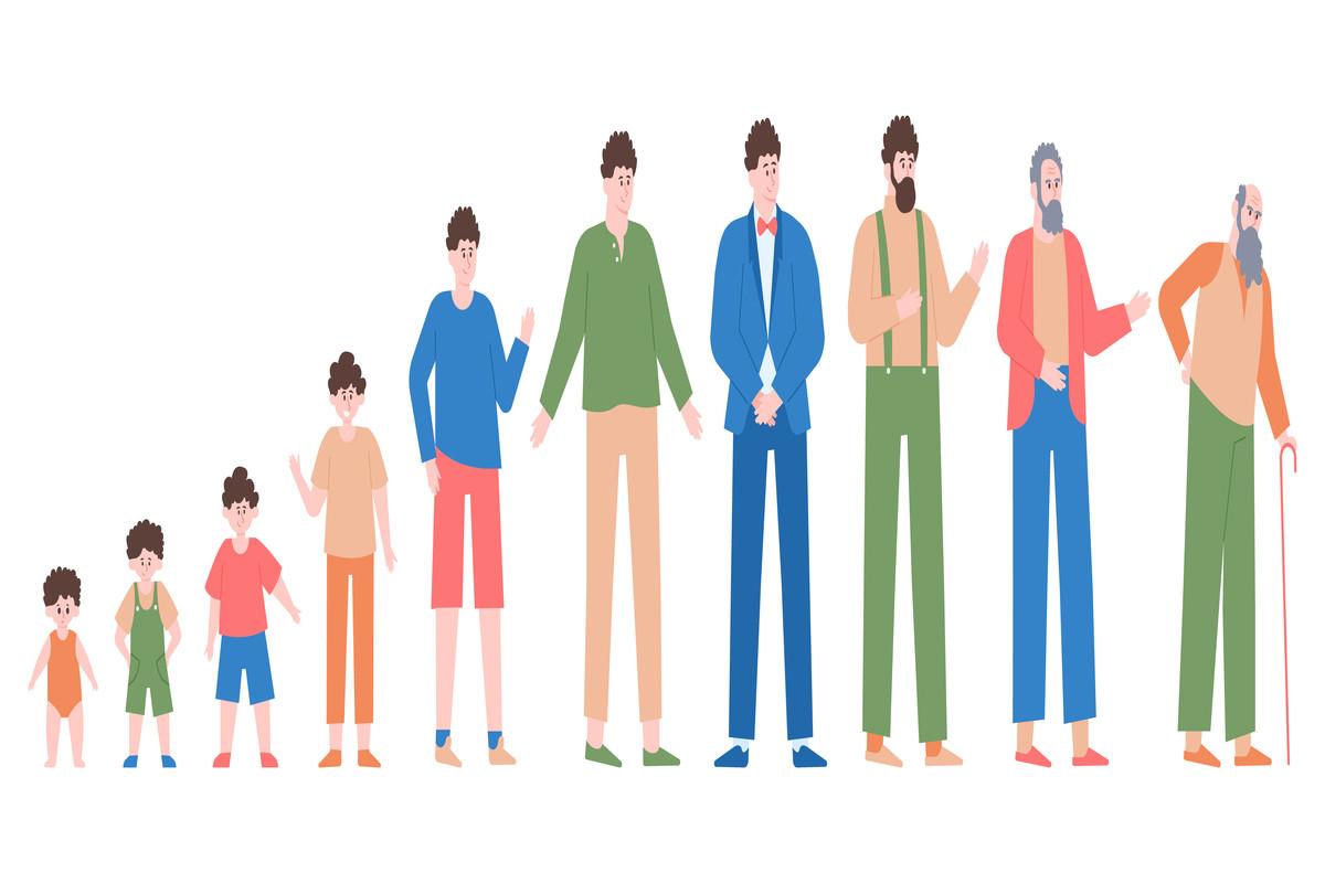 Man Life Cycles