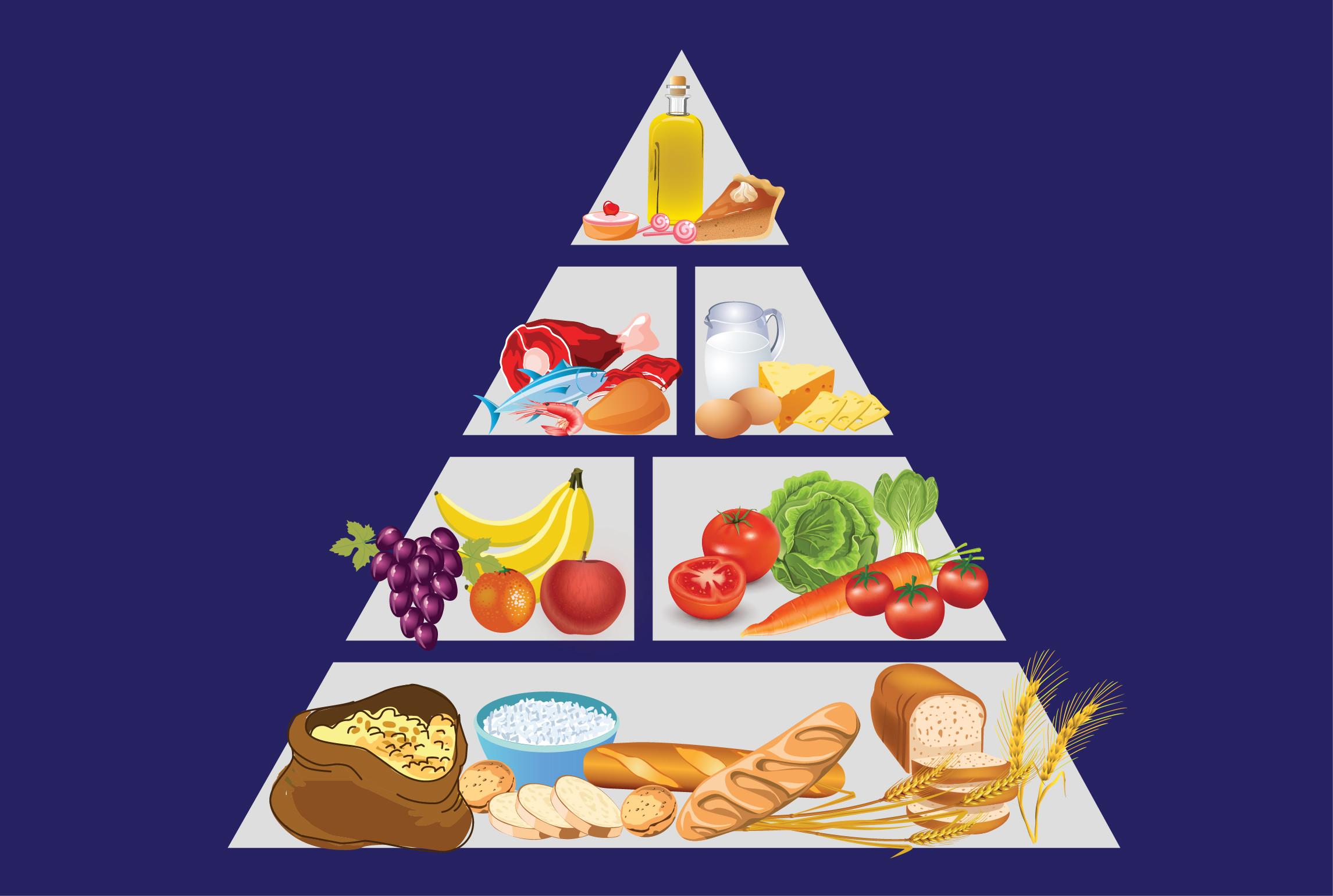 Food Pyramid