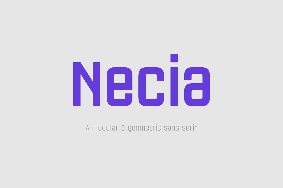 Necia Family Font