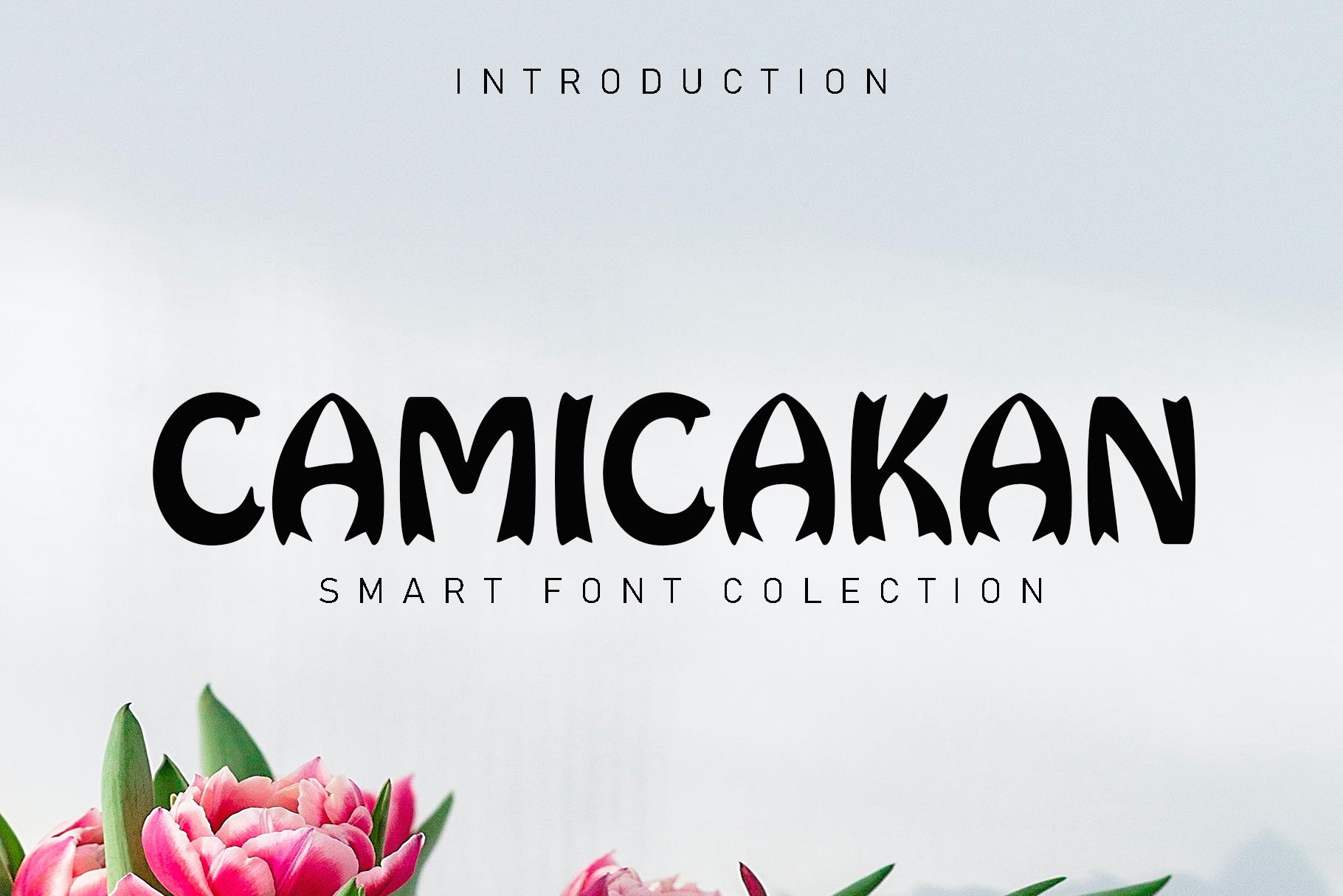 Camicakan Font