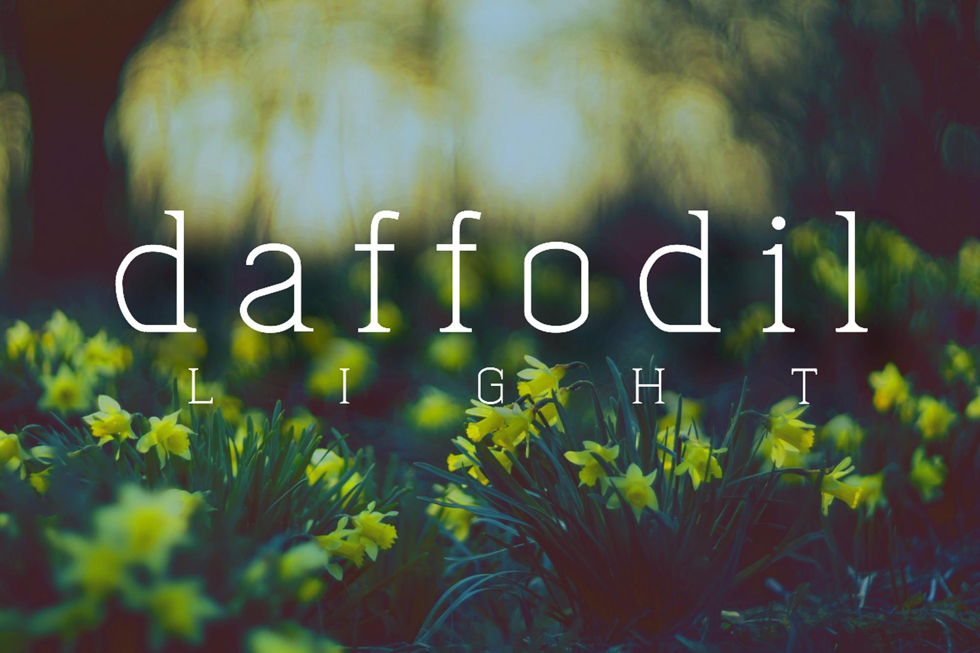 Daffofil Font